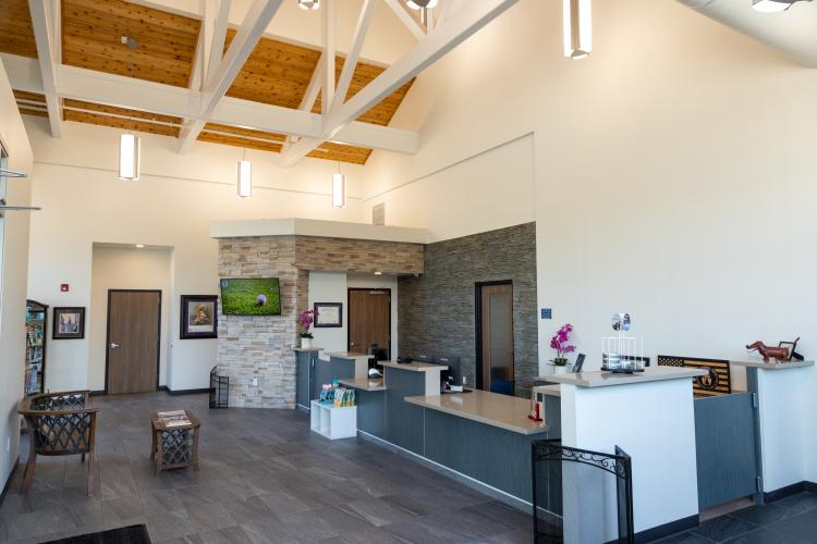 2020 N Kelly  |  Pampered Pets  |  Animal Spa  |  Edmond