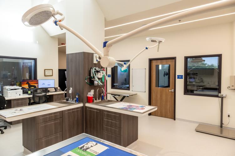 2020 N Kelly  |  Pampered Pets  |  Animal Spa  |  Edmond